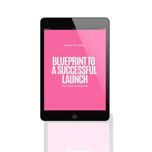 THE BLUEPRINT TO A SUCCESSFUL LAUNCH (RESELL RIGHTS)